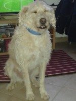 /album/les-anciens-pensionnaires/a20141221-154401-jpg/