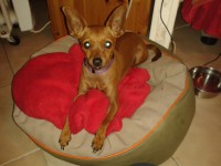 /album/les-anciens-pensionnaires/a20141208-165458-jpg/