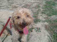 /album/les-anciens-pensionnaires/a20140801-160940-jpg/