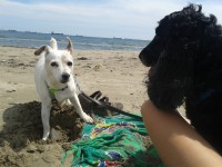 /album/les-anciens-pensionnaires/a20150502-145916-jpg/