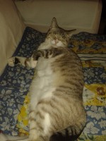 /album/les-anciens-pensionnaires/a20141203-202001-jpg/