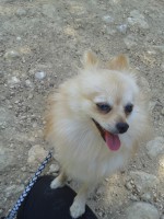 /album/les-anciens-pensionnaires/a20150520-161010-jpg/