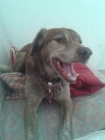 /album/les-anciens-pensionnaires/a20150407-105924-jpg/